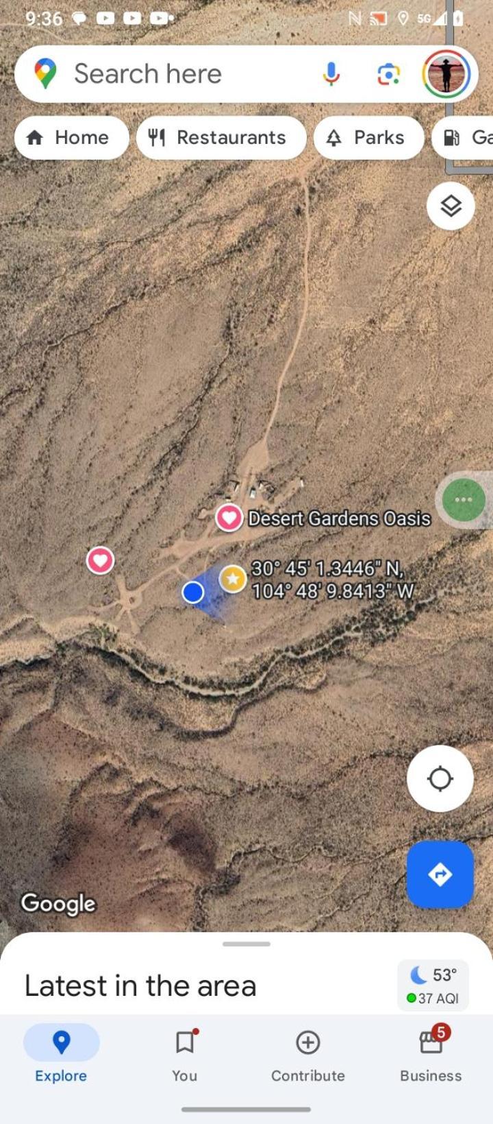 Camping At Desert Gardens Oasis At Lobo, Texas فان هورن المظهر الخارجي الصورة