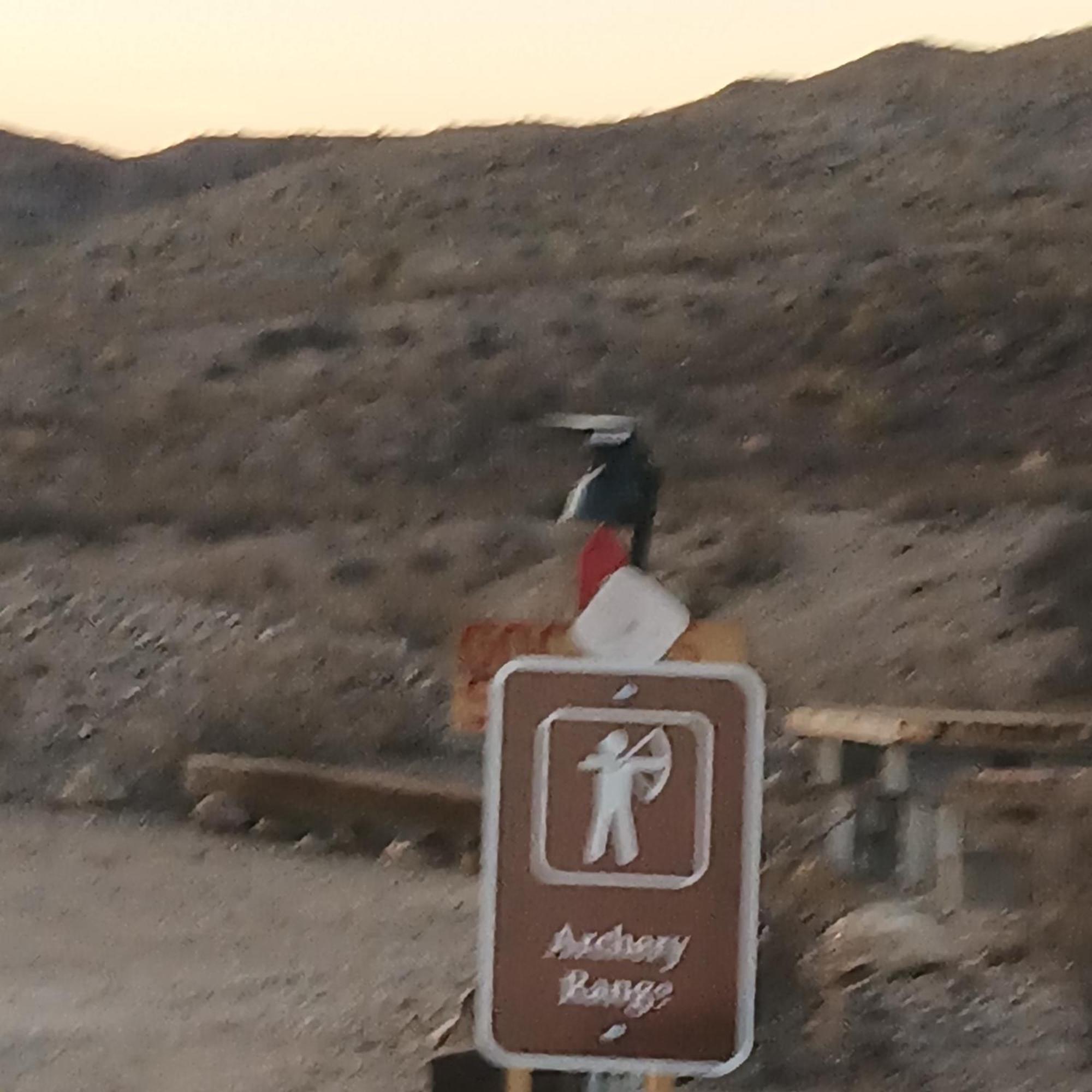 Camping At Desert Gardens Oasis At Lobo, Texas فان هورن المظهر الخارجي الصورة